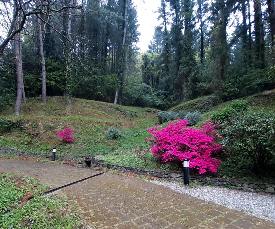Il Bosco Di Campo Marzano Rooms & Apartments Borzonasca Exterior foto