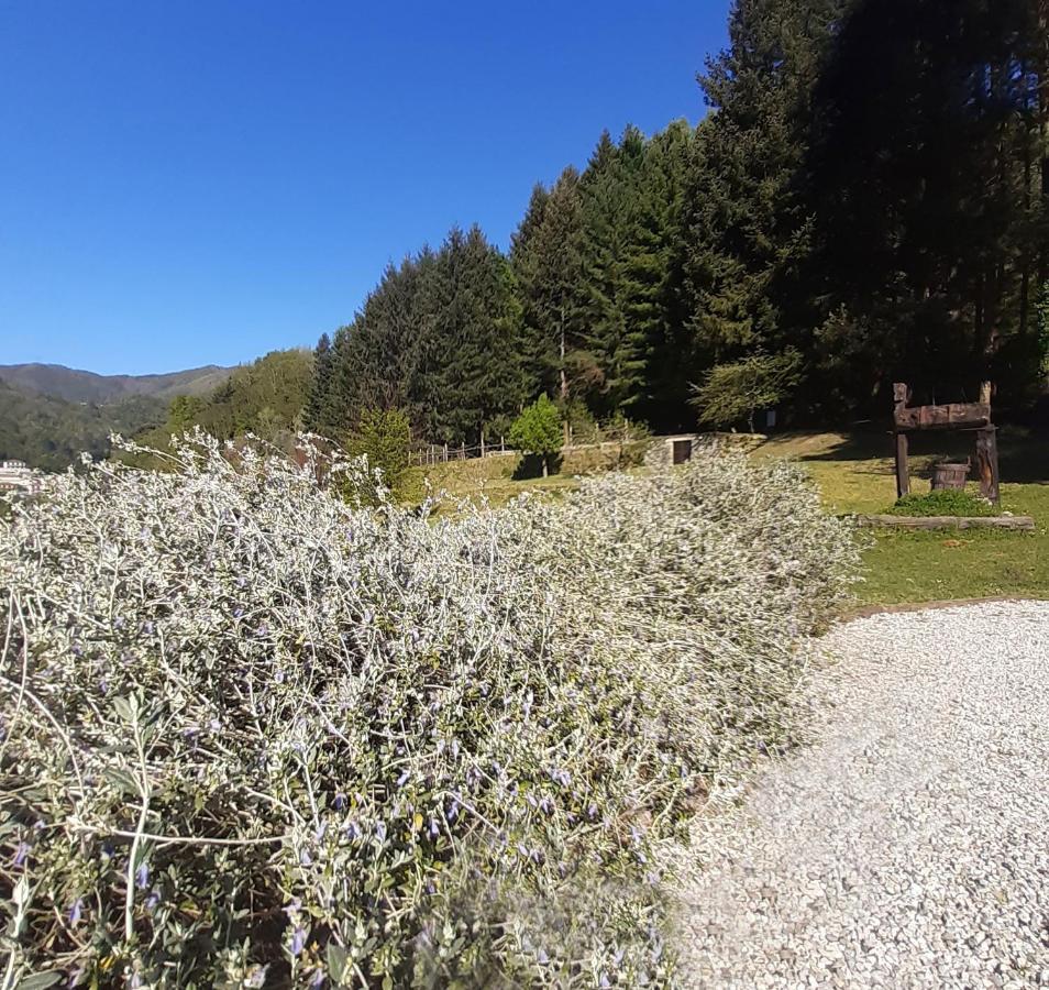 Il Bosco Di Campo Marzano Rooms & Apartments Borzonasca Exterior foto