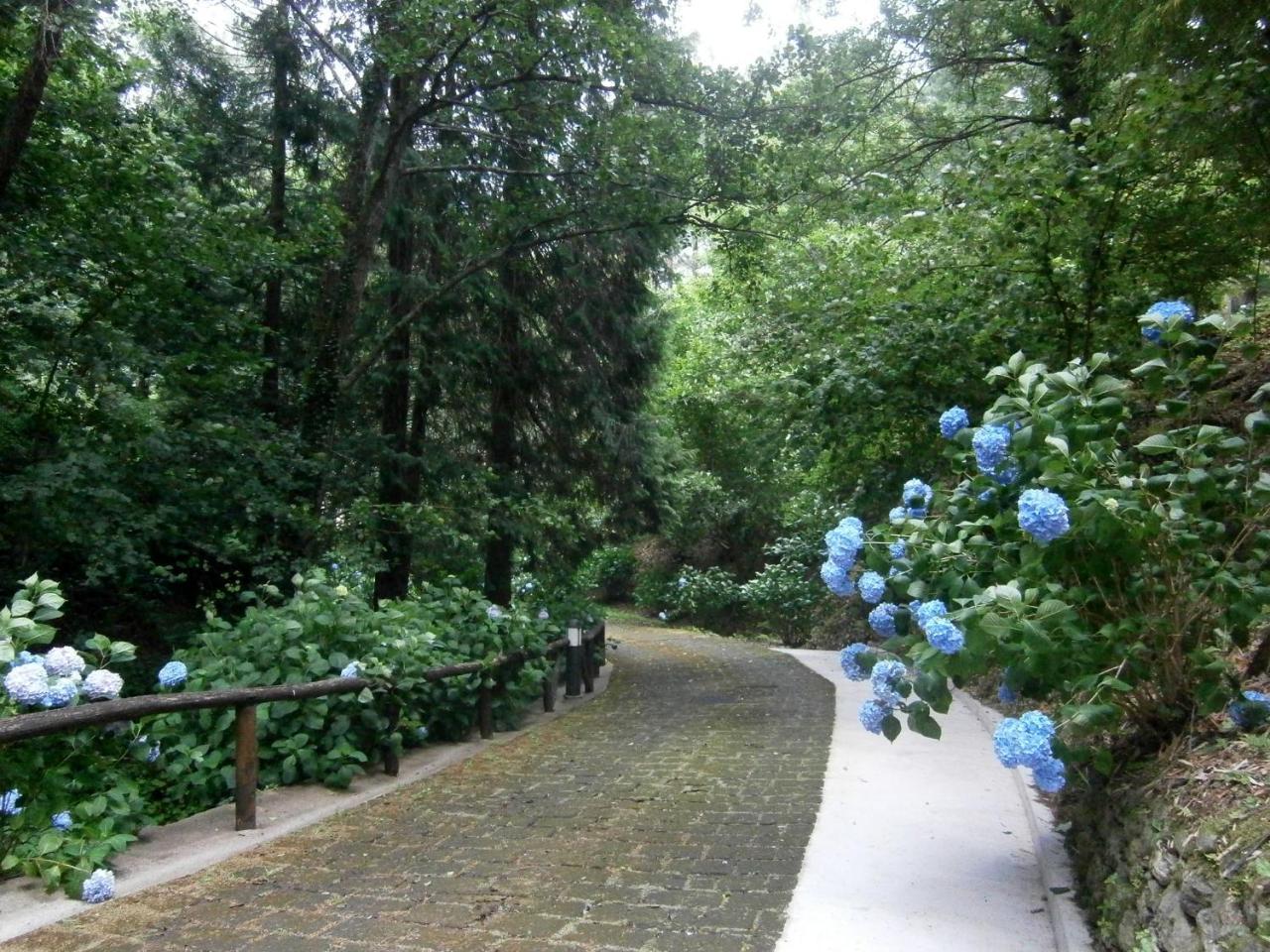 Il Bosco Di Campo Marzano Rooms & Apartments Borzonasca Exterior foto
