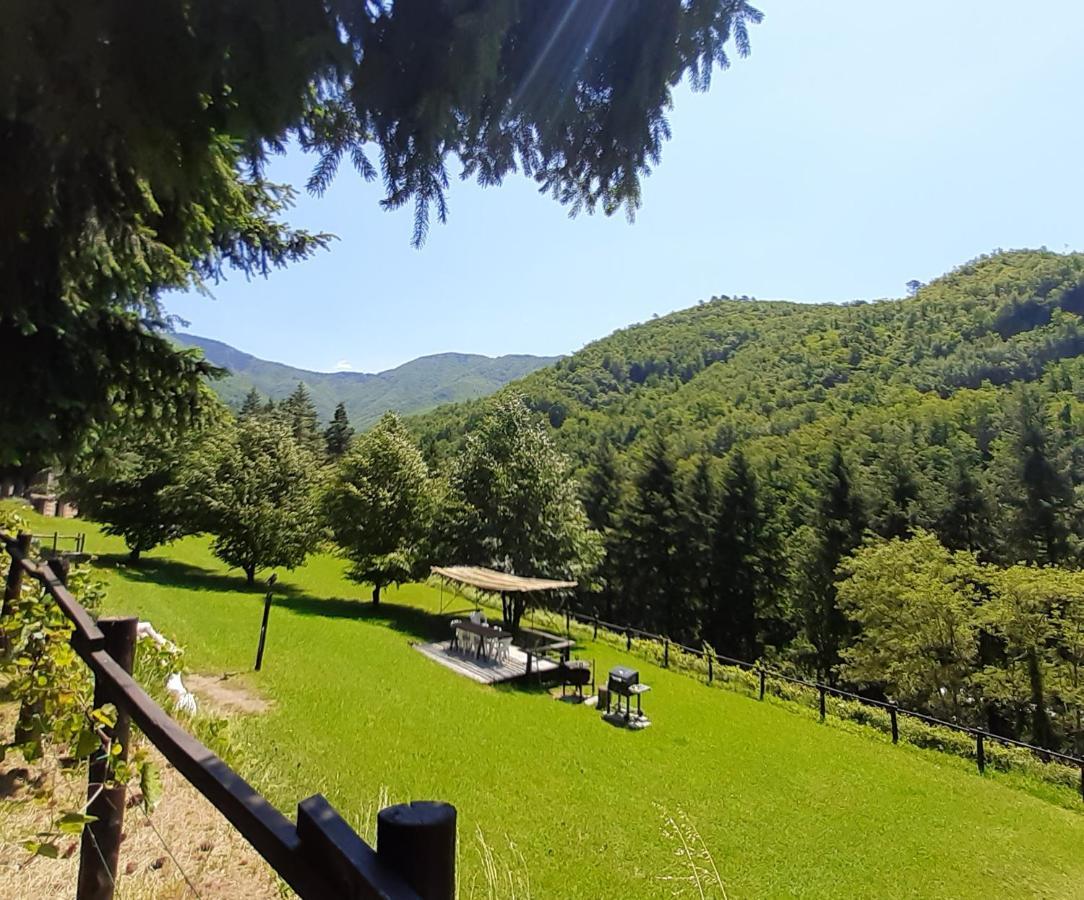 Il Bosco Di Campo Marzano Rooms & Apartments Borzonasca Exterior foto